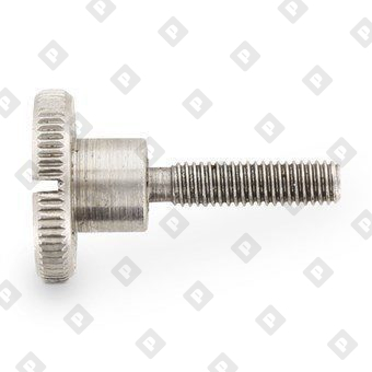 DIN 465 AISI 303 M 4X10 - №2