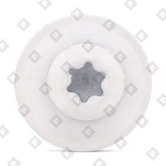 Art. 9087 A2 4,5X45 TX20 - RAL 9010 - №3