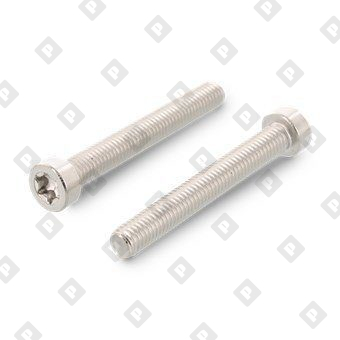 ISO 14580 A2 M6X60 TX30 - №1